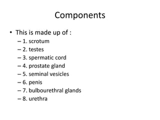 Reprod MALE REPROD SYSTEM made easy for students.pdf