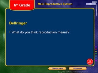 Copyright © by Holt, Rinehart and Winston. All rights reserved.
ResourcesChapter menu
Male Reproductive System
Bellringer
• What do you think reproduction means?
6th
Grade
 