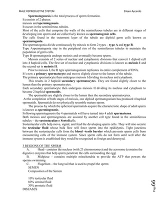 MALE REPRODUCTIVE SYSTEM Eileen Aycardo
Page66
Spermatogenesis is the total process of sperm formation.
It consists of 2 phases:
meiosis and spermiogenesis.
It occurs in the seminiferous tubules.
Most of the cells that comprise the walls of the seminiferous tubules are in different stages of
developing into sperm and are collectively known as spermatogenic cells.
The cells found in the outermost layer of the tubule are diploid germ cells known as
spermatogonia.
The spermatogonia divide continuously by mitosis to form 2 types – type A and type B.
Type Aspermatogonia stay in the peripheral rim of the seminiferous tubules to maintain the
population of germ cells.
Type B spermatogonia undergo meiosis and eventually become sperm.
Meiosis consists of 2 series of nuclear and cytoplasmic divisions that convert 1 diploid cell
into 4 haploid cells. The first set of nuclear and cytoplasmic divisions is known as meiosis I and
the second set is meiosis II.
Prior to meiosis I, the B type spermatogonium replicates its entire complement of DNA.
It‟s now a primary spermatocyte and moves slightly closer to the lumen of the tubule.
The primary spermatocyte then undergoes meiosis I dividing its nucleus and cytoplasm.
This results in 2 haploid secondary spermatocytes. They are found slightly closer to the
lumen than the primary spermatocytes.
Each secondary spermatocyte then undergoes meiosis II dividing its nucleus and cytoplasm to
become 2 haploid spermatids.
The spermatids are slightly closer to the lumen then the secondary spermatocytes.
At the completion of both stages of meiosis, one diploid spermatogonium has produced 4 haploid
spermatids. Spermatids do not physically resemble mature sperm.
The process by which the spherical spermatids acquire the characteristic shape of adult sperm
is known as spermiogenesis.
Following spermiogenesis the 4 spermatids will have turned into 4 adult spermatozoa.
Both meiosis and spermiogenesis are assisted by another cell type found in the seminiferous
tubules – the sustentacularor Sertolicells.
Sustentacular cells help move, signal, and feed the developing sperm cells. They will also secrete
the testicular fluid whose bulk flow will force sperm into the epididymis. Tight junctions
between the sustentacular cells form the blood –testis barrier which prevents sperm cells from
encountering cells of the immune system. Since sperm cells do not form until well after the
immune system is established they would be recognized as foreign and destroyed.
3 REGIONS OF THE SPERM
A. Head– contains the nucleus (with 23 chromosomes) and the acrosome (contains the
digestive enzymes that help sperm penetrate the cells surrounding the egg)
B. Midpiece – contains multiple mitochondria to provide the ATP that powers the
sperms swimming
C. Flagellum – the long tail that is used to propel the sperm
SEMEN
Composition of the Semen
10% testicular fluid
60% seminal fluid
30% prostatic fluid
DISEASES
 