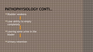 male reproductive disorders A HN 1.pptx