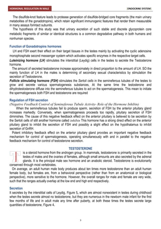 Male reproductive hormones | PDF
