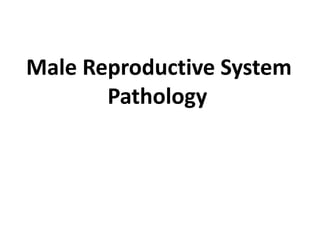 Male Reproductive System
Pathology
 