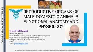 REPRODUCTIVE ORGANS OF
MALE DOMESTCIC ANIMALS
FUNCTIONAL ANATOMY AND
PHYSIOLOGY
Prof. Dr. G.N Purohit
MVSC, PhD, MNVAS
Dean Post Graduate Studies RAJUVAS and University Head
Dept. Veterinary (Gynecology & Obstetrics)
College of veterinary & Animal Science, Bikaner, Raj.
India.
Email: gnpobs@gmail.com
GOVIND
NARAYAN
PUROHIT
(GNP
Sir)
Dr. GN Purohit – Educational and Confidential - Content collected from different sources Not Permitted for Commercial Purposes
 
