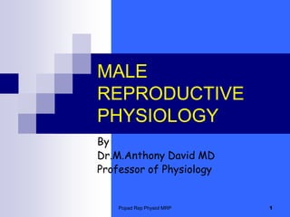 Popad Rep Physiol MRP 1 MALE REPRODUCTIVE PHYSIOLOGY  By Dr.M.Anthony David MD Professor of Physiology 
