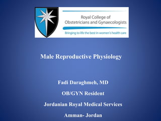Fadi Daraghmeh, MD
OB/GYN Resident
Jordanian Royal Medical Services
Amman- Jordan
Male Reproductive Physiology
 