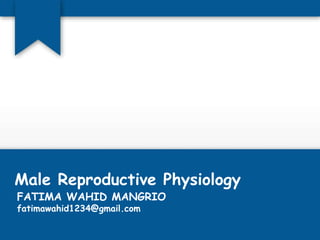 Male Reproductive Physiology
FATIMA WAHID MANGRIO
fatimawahid1234@gmail.com
 