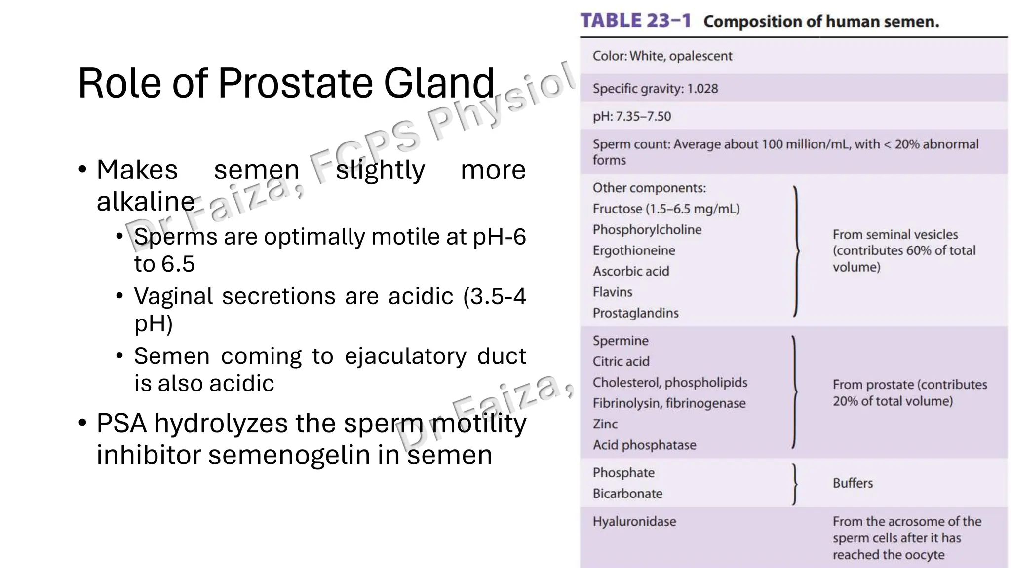 "Male Reproductive and Hormonal Physiology"