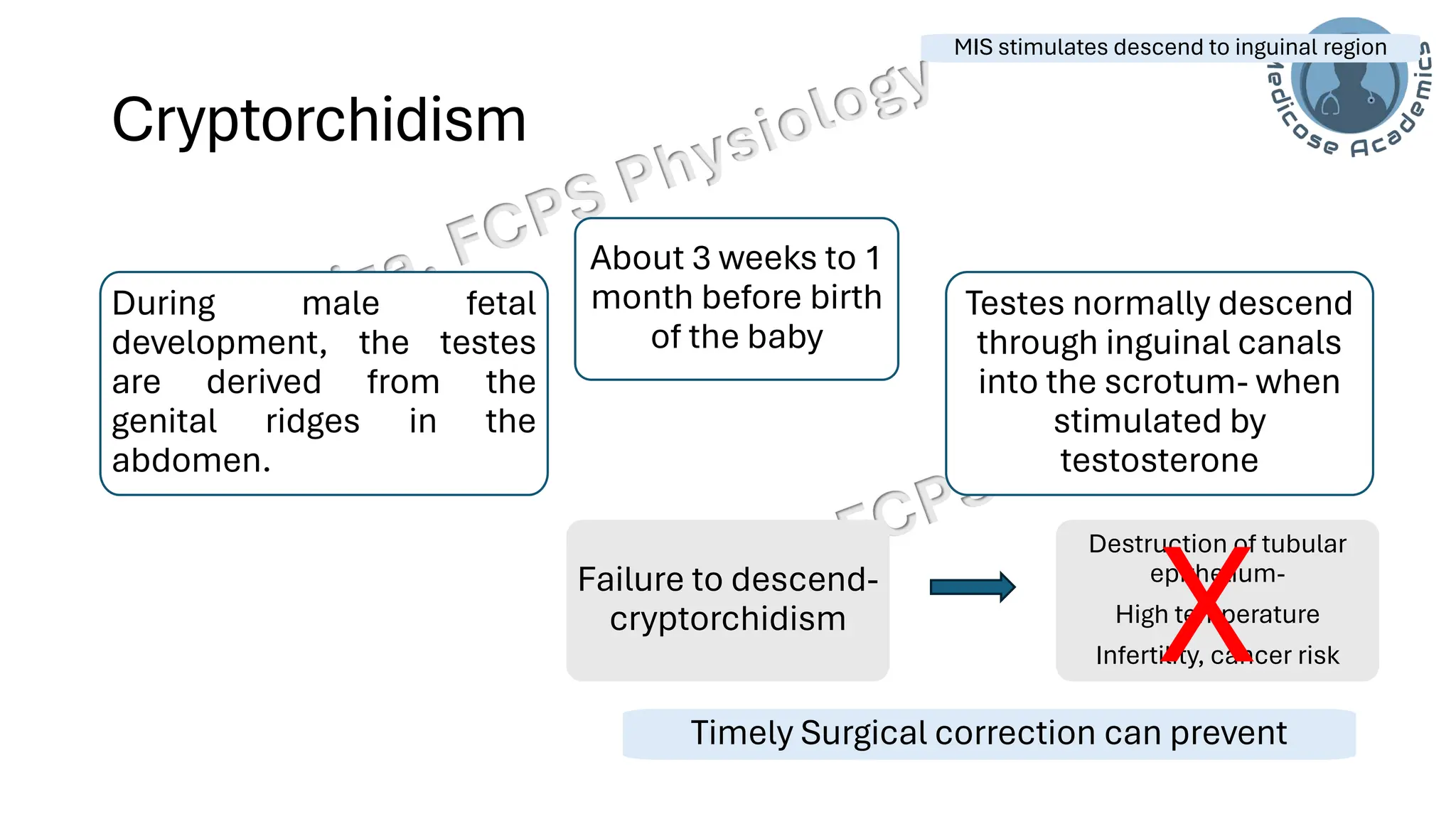 "Male Reproductive and Hormonal Physiology"