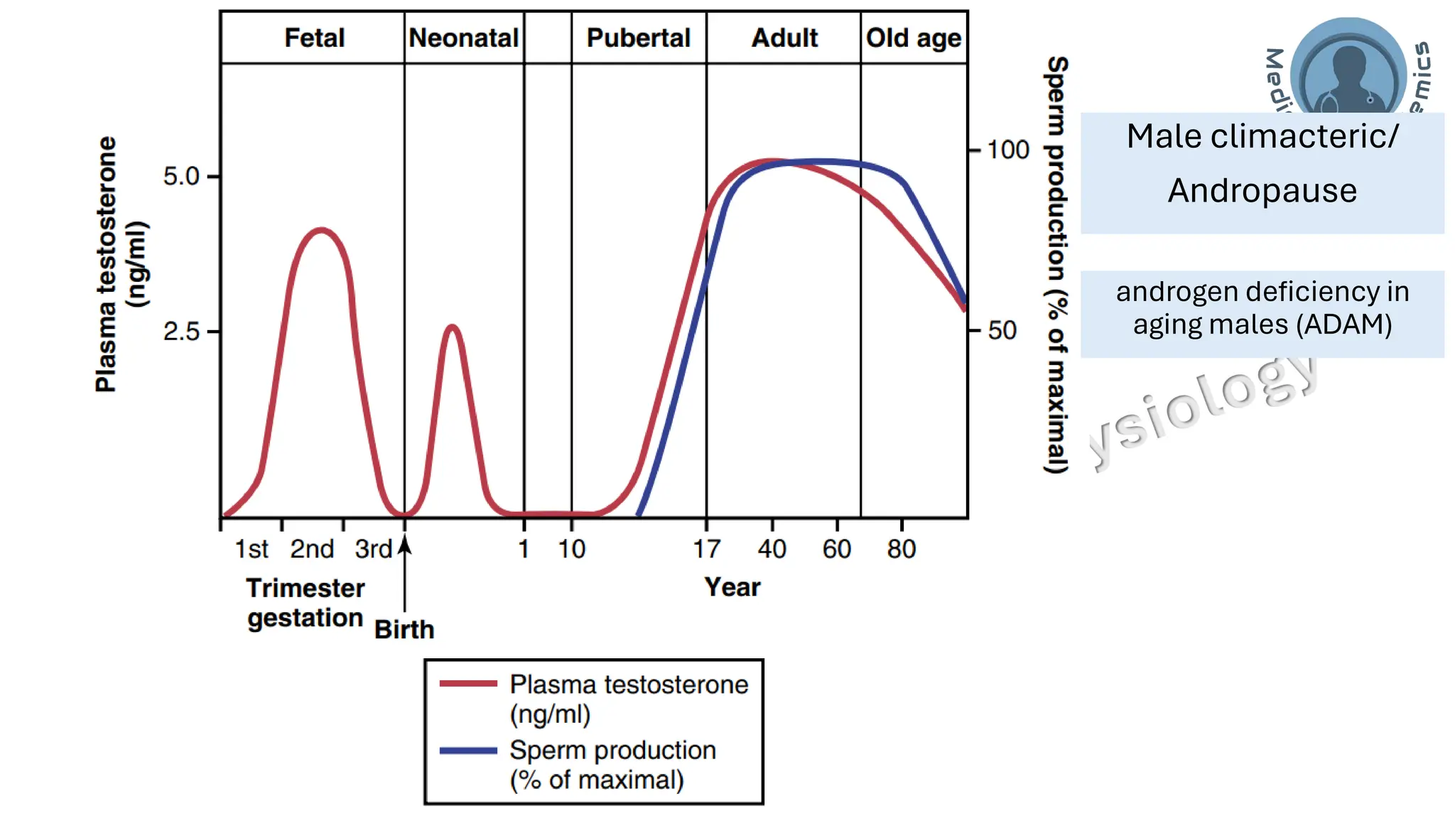 "Male Reproductive and Hormonal Physiology"