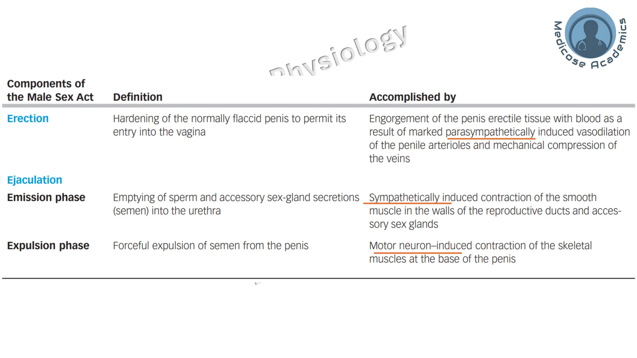 "Male Reproductive and Hormonal Physiology"