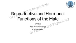 "Male Reproductive and Hormonal Physiology"