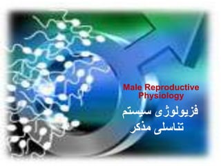 1
‫سیستم‬ ‫فزیولوژی‬
‫مذکر‬ ‫تناسلی‬
Male Reproductive
Physiology
 