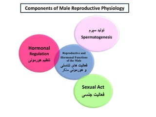 Male Reproductive Physiology Aug. 2017.ppt