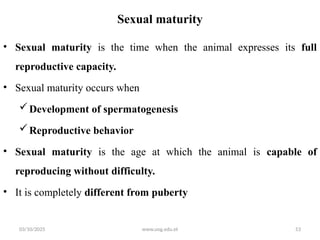 Difficulty Reproducing MALE REPRODUCTIVE PHYSIOLOGY up load.pptx