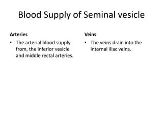 Blood Supply of Seminal vesicle
Arteries
• The arterial blood supply
from, the inferior vesicle
and middle rectal arteries.
Veins
• The veins drain into the
internal iliac veins.
 