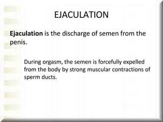 EJACULATION
Ejaculation is the discharge of semen from the
penis.
During orgasm, the semen is forcefully expelled
from the body by strong muscular contractions of
sperm ducts.
 