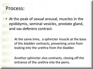 Process:
• At the peak of sexual arousal, muscles in the
epididymis, seminal vesicles, prostate gland,
and vas deferens contract.
At the same time, a sphincter muscle at the base
of the bladder contracts, preventing urine from
leaking into the urethra from the bladder.
Another sphincter also contracts, closing off the
entrance of the urethra into the penis.
 