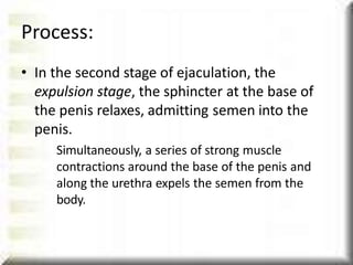 • In the second stage of ejaculation, the
expulsion stage, the sphincter at the base of
the penis relaxes, admitting semen into the
penis.
Simultaneously, a series of strong muscle
contractions around the base of the penis and
along the urethra expels the semen from the
body.
Process:
 