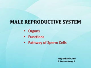 MALE REPRODUCTIVE SYSTEM
    • Organs
    • Functions
    • Pathway of Sperm Cells


                       Joey Richard V. Dio
                       B S Accountancy 2
 