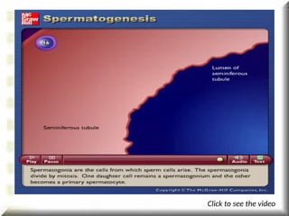 Click to see the video
 