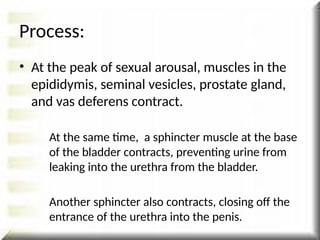 Process:
• At the peak of sexual arousal, muscles in the
epididymis, seminal vesicles, prostate gland,
and vas deferens contract.
At the same time, a sphincter muscle at the base
of the bladder contracts, preventing urine from
leaking into the urethra from the bladder.
Another sphincter also contracts, closing off the
entrance of the urethra into the penis.
 