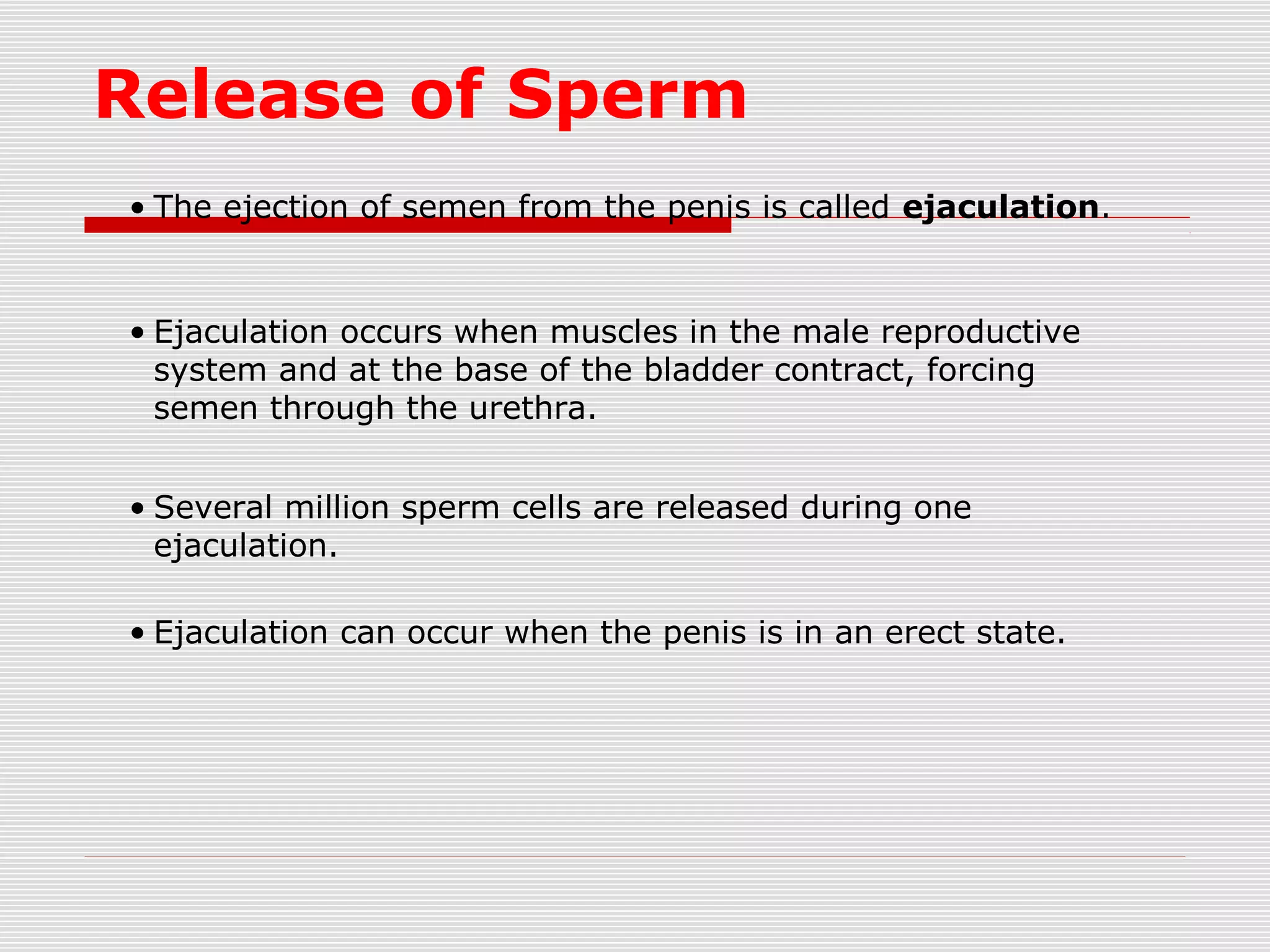 Male reproductive system | PPT