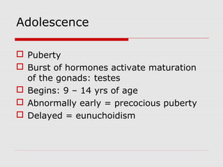 Adolescence
 Puberty
 Burst of hormones activate maturation
of the gonads: testes
 Begins: 9 – 14 yrs of age
 Abnormally early = precocious puberty
 Delayed = eunuchoidism
 