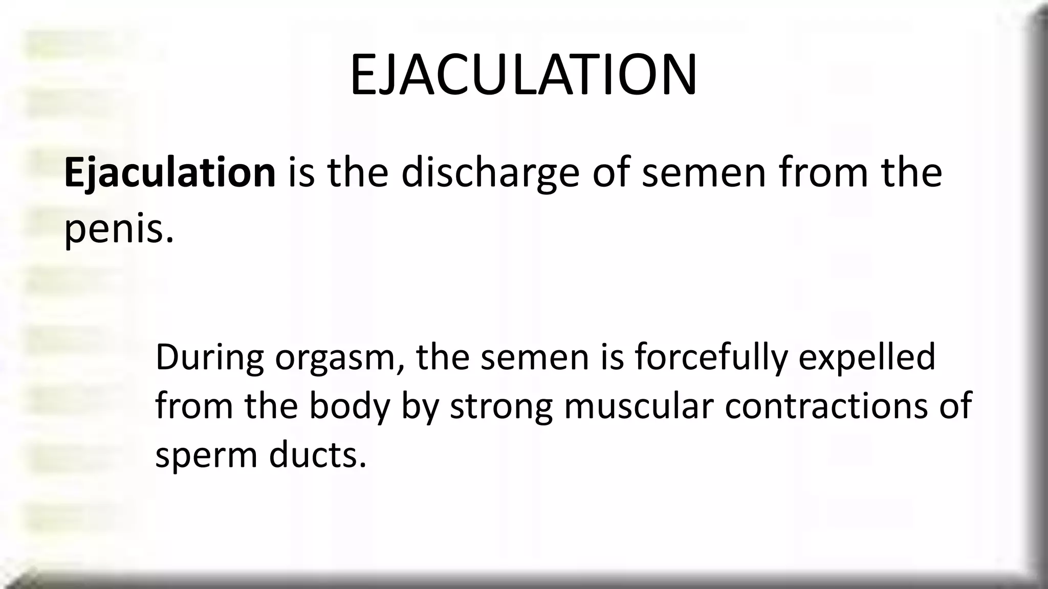 Male reproductive system | PPTX