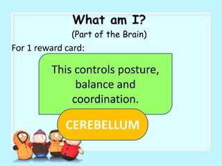 What am I?
(Part of the Brain)
For 1 reward card:
This controls posture,
balance and
coordination.
CEREBELLUM
 