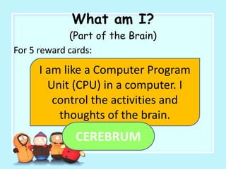 What am I?
(Part of the Brain)
For 5 reward cards:
I am like a Computer Program
Unit (CPU) in a computer. I
control the activities and
thoughts of the brain.
CEREBRUM
 