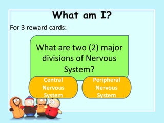 What am I?
For 3 reward cards:
What are two (2) major
divisions of Nervous
System?
Peripheral
Nervous
System
Central
Nervous
System
 