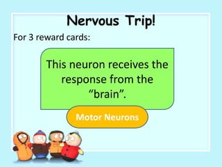 Nervous Trip!
For 3 reward cards:
This neuron receives the
response from the
“brain”.
Motor Neurons
 