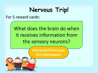 Nervous Trip!
For 5 reward cards:
What does the brain do when
it receives information from
the sensory neurons?
Interprets/Processes
the information
 
