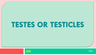 SUPORTING STRUCTURES
JSN Jegan
 