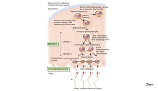 Copyright 2009, John Wiley & Sons, Inc. Jegan
 