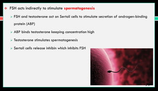  FSH acts indirectly to stimulate spermatogenesis
 FSH and testosterone act on Sertoli cells to stimulate secretion of androgen-binding
protein (ABP)
 ABP binds testosterone keeping concentration high
 Testosterone stimulates spermatogenesis
 Sertoli cells release inhibin which inhibits FSH
Jegan
 