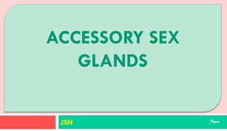 SUPORTING STRUCTURES
JSN
ACCESSORY SEX
GLANDS
Jegan
 