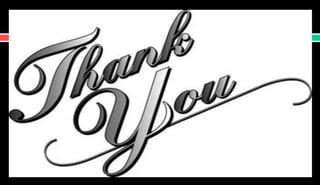 Male reproductive system