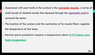  Associated with each testis in the scrotum is the cremaster muscle, a series of
small bands of skeletal muscle that descend through the spermatic cord to
surround the testes.
 The location of the scrotum and the contraction of its muscle fibers regulate
the temperature of the testes
 Normal sperm production requires a temperature about 2–3 C below core
body temperature
Jegan
 