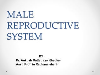 MALE
REPRODUCTIVE
SYSTEM
BY
Dr. Ankush Dattatraya Khedkar
Asst. Prof. in Rachana sharir
 