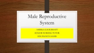 Male Reproductive
System
AMBIKA GAUR BHATT
SENIOR NURSING TUTOR
HIN PAONTA SAHIB
 