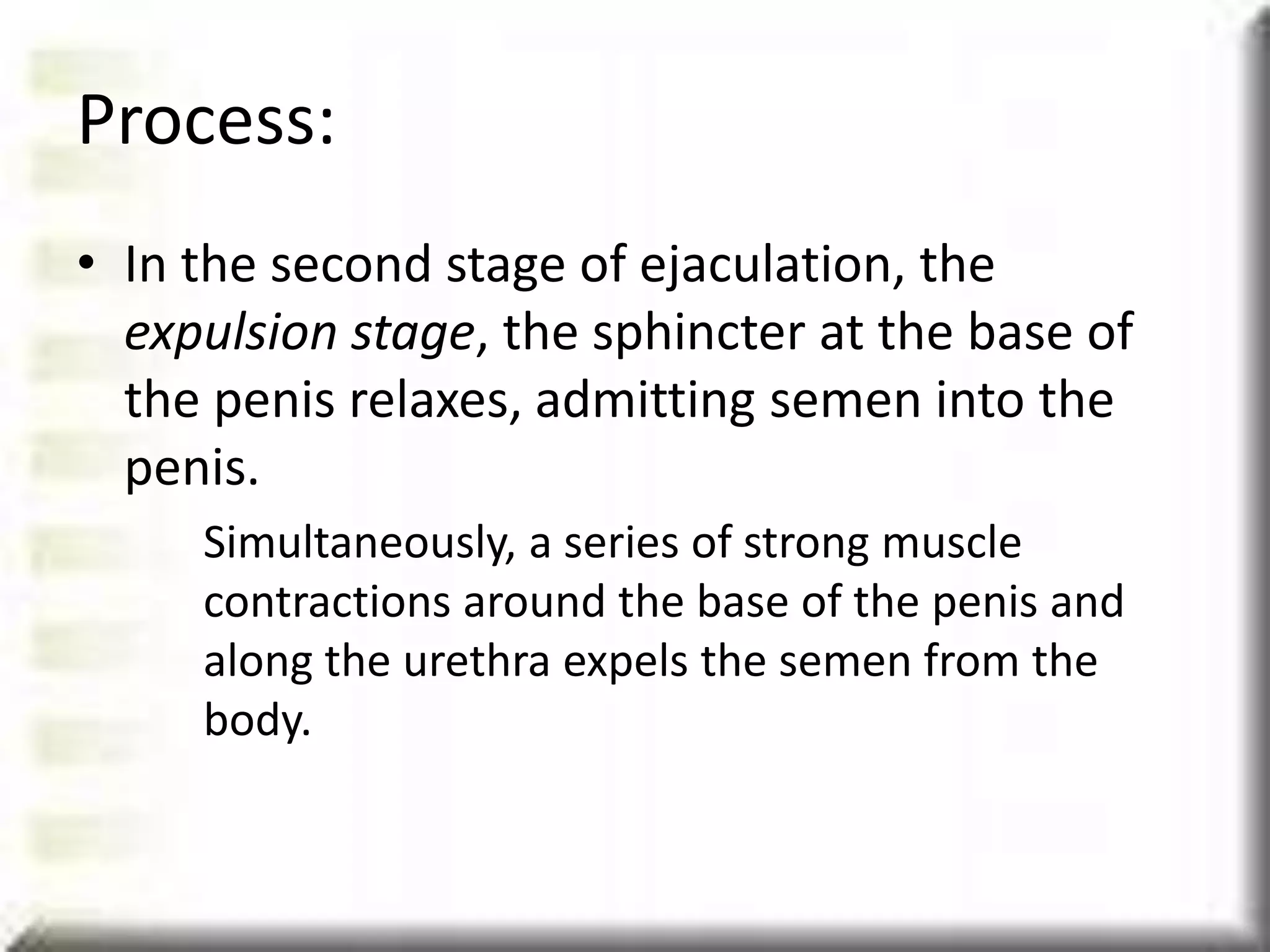 Male reproductive system | PPT | Free Download
