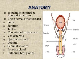  It includes external &
internal structures.
 The external structure are:
a) Penis
b) Scrotum
c) Testes
 The internal organs are:
a) Vas deferens
b) Ejaculatory duct
c) Urethra
d) Seminal vesicles
e) Prostate gland
f) Bulbourethral glands
 