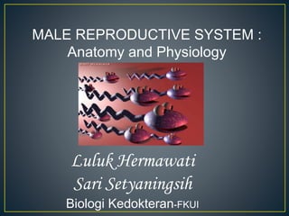 MALE REPRODUCTIVE SYSTEM :
Anatomy and Physiology
Luluk Hermawati
Sari Setyaningsih
Biologi Kedokteran-FKUI
 