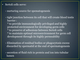 • Sertoli cells serve:
- nurturing source for spematogenesis
- tight junction between its cell that will create blood testis
barrier :
* to provide immunologically privileged and highly
protected environment for developing germ cells
* to preserve of adhesions between Sertoli cells
* to maintain optimal microenvironment for germ cell
development through its highly permeability
- Elimination of residual bodies or phagocytosis excess
discarded by spermatid at the end of spermatogenesis
- secretion of fluid rich in protein and ion into tubular
lumen
 