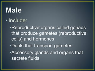 • Include:
•Reproductive organs called gonads
that produce gametes (reproductive
cells) and hormones
•Ducts that transport gametes
•Accessory glands and organs that
secrete fluids
 