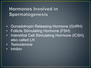 • Gonadotropin Releasing Hormone (GnRH)
• Follicle Stimulating Hormone (FSH)
• Interstitial Cell Stimulating Hormone (ICSH),
also called LH
• Testosterone
• Inhibin
 