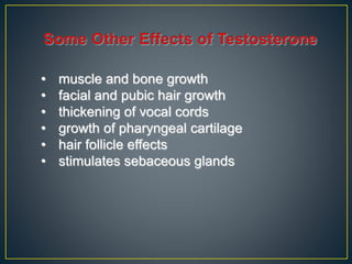 • muscle and bone growth
• facial and pubic hair growth
• thickening of vocal cords
• growth of pharyngeal cartilage
• hair follicle effects
• stimulates sebaceous glands
 