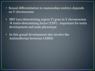 • Sexual differentiation in mammalian embryo depends
on Y chromosome
• SRY (sex-determining region Y) gene in Y chromosome
 testis-determining factor (TDF) : important for testis
development and male phenotype
• In this gonad development also involve the
Antimullerian hormone (AMH)
 