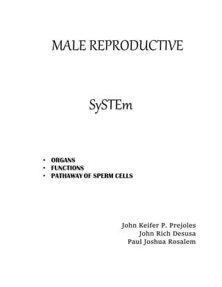 MALE REPRODUCTIVE
SySTEm
John Keifer P. Prejoles
John Rich Desusa
Paul Joshua Rosalem
 